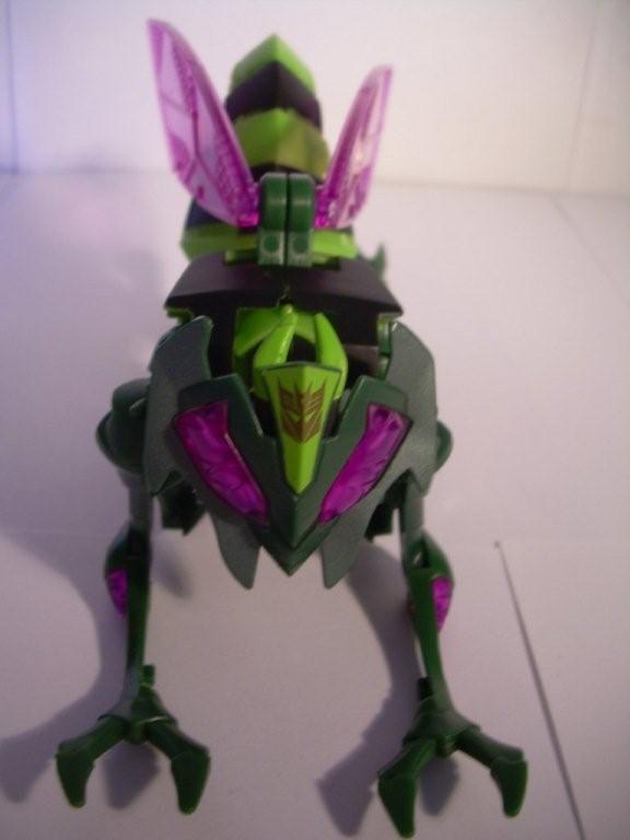 Transformers Animated Waspinator image gallery and review |  