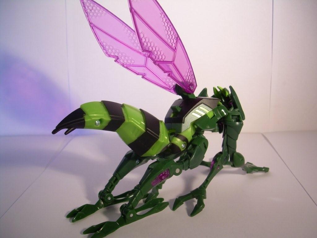 Transformers Animated Waspinator image gallery and review |  